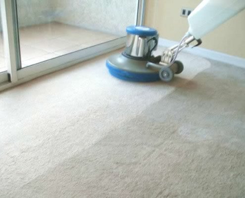 pescado comedia De Verdad Lavado de alfombras – Empresa aseo oficinas, lavado de alfombras, limpieza  de oficinas
